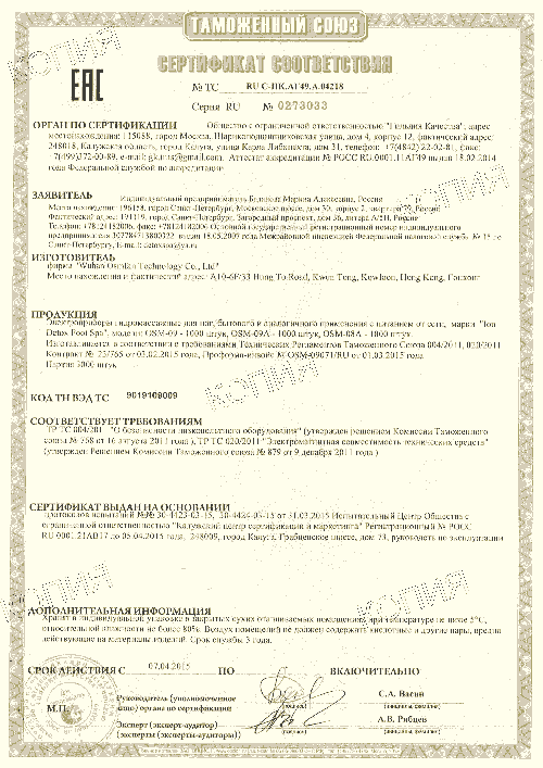 Detox Spa Ion Cleanse