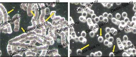 �� � ����� ������ ������������