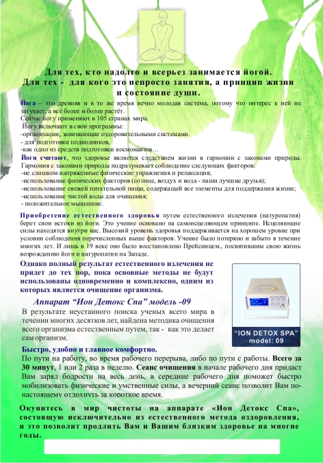 Ion Detox Spa � ����