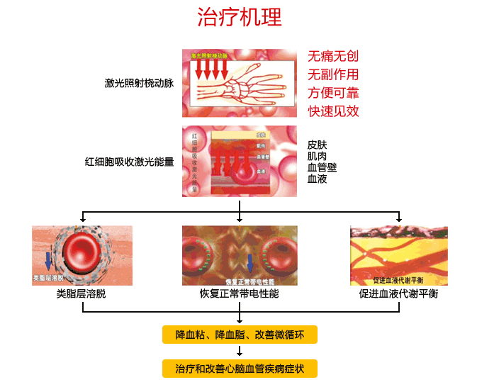 �������� ���������� ����� ZAC ��������� � ������� �����