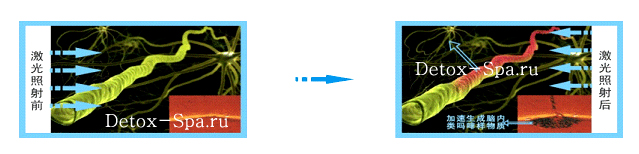 �������� ��������� ZAC �������� �� �������� ����� �������� �����