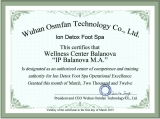 Ion Detox Spa �������